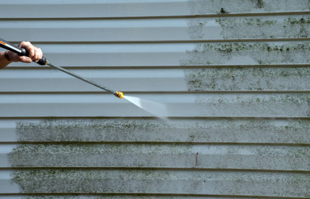 Best Local Pressure Washing Services  in Hebbronville, TX