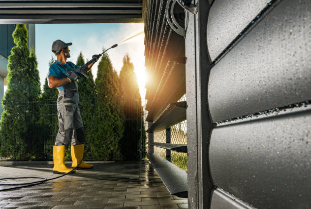 Best Pressure Washing Company Near Me  in Hebbronville, TX